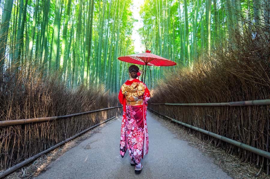 Kyoto: Fushimi, Arashiyama - Bamboo, Monkey, Torii & Secrets - The climb to Iwatayama Monkey Park