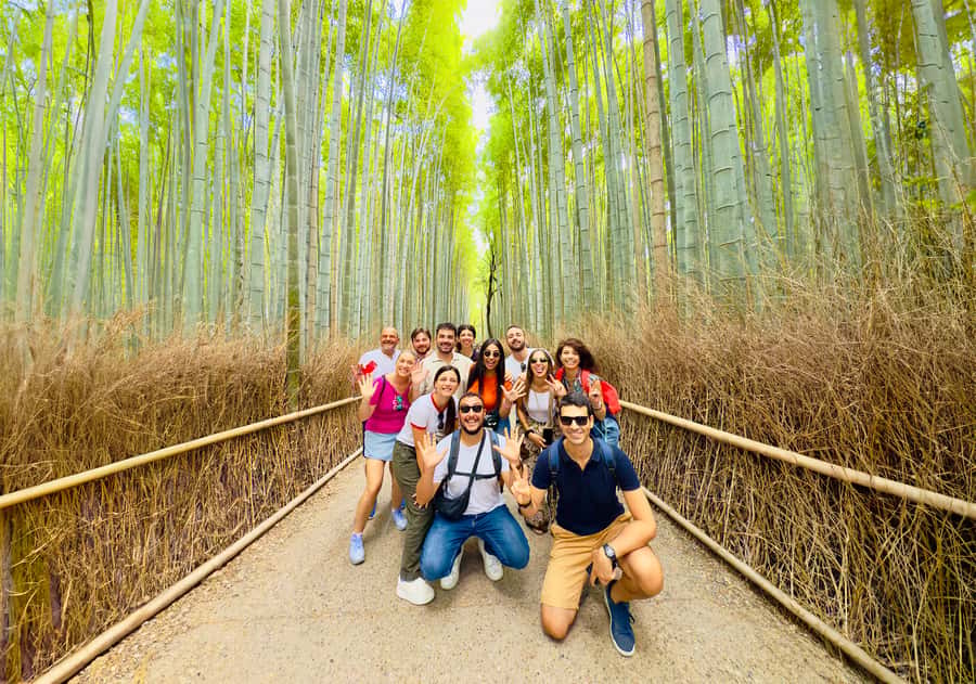 Kyoto: Fushimi, Arashiyama - Bamboo, Monkey, Torii & Secrets - What the guides add to the day