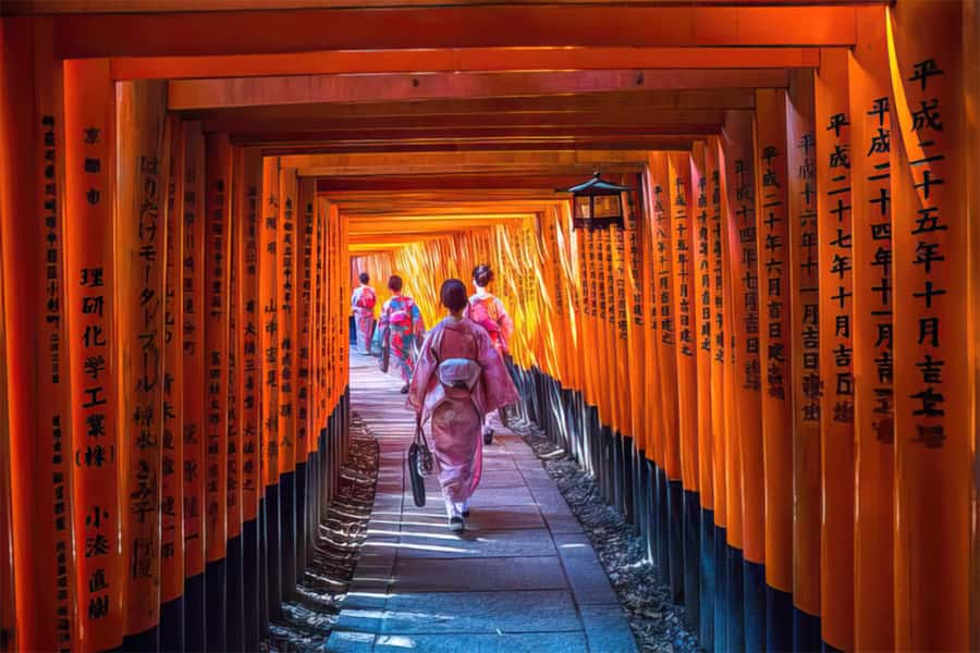 Kyoto: Fushimi, Arashiyama - Bamboo, Monkey, Torii & Secrets - From Fushimi to Arashiyama by train