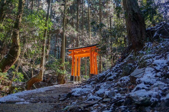 Kyoto: Fushimi Inari Hidden Hike (Private) - Why This Route Shows You More Than Fushimi Inari’s Main Gate