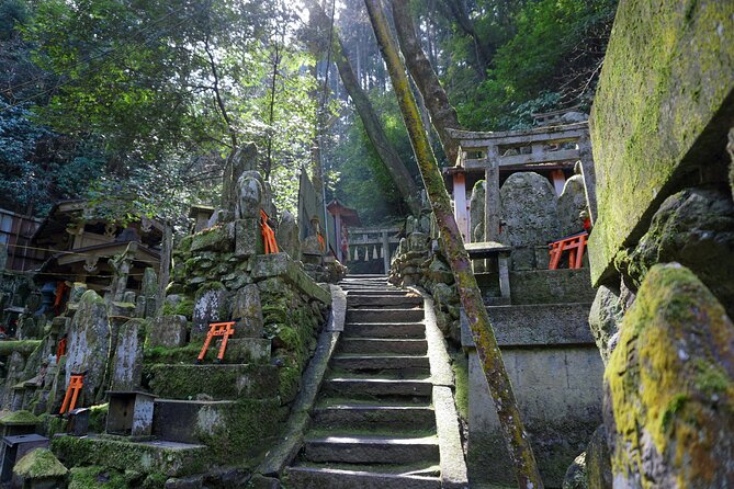 Kyoto: Fushimi Inari Hidden Hike (Private) - The Quiet Mt. Inari Trails