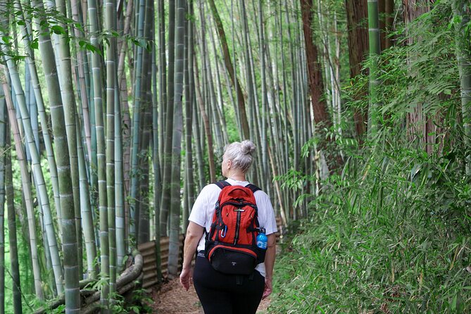 Kyoto: Fushimi Inari Hidden Hike (Private) - The Castle View on the Way Down