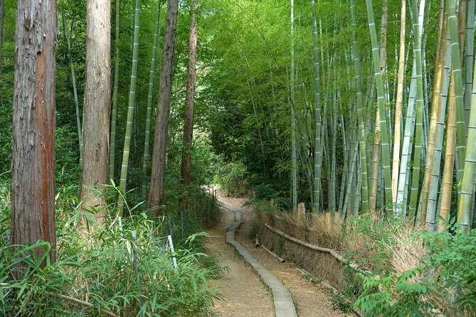 Kyoto: Fushimi Inari Hidden Hike (Private) - Who Will Enjoy This Fushimi Inari Hike?