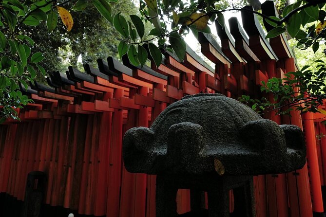 Kyoto Fushimi-Inari Night Walking Tour - The torii tunnel and the first uphill stretch