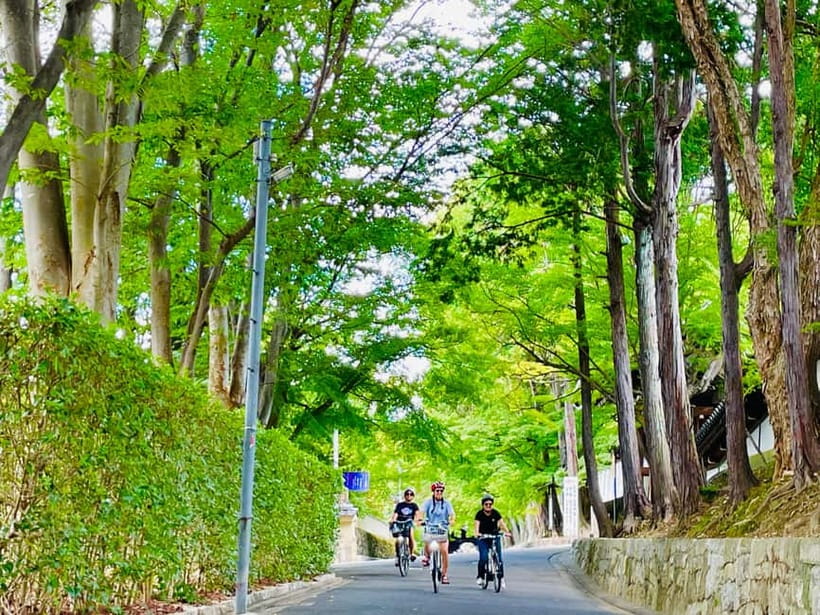 Kyoto: Fushimi Inari Shrine and Tofukuji Temple E-Bike Tour - Fushimi Inari, approached by bicycle