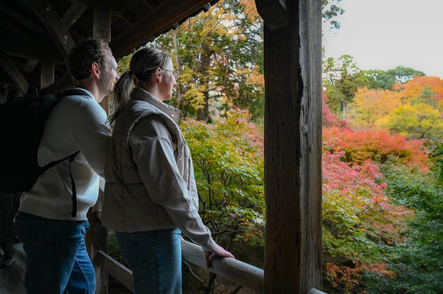Kyoto: Half-day Guided Bike Tour with Fushimi Inari - Key points to know before you book