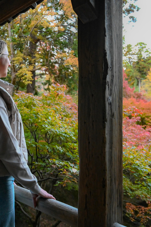 Kyoto: Half-day Guided Bike Tour with Fushimi Inari - Guide quality and the feel of the group