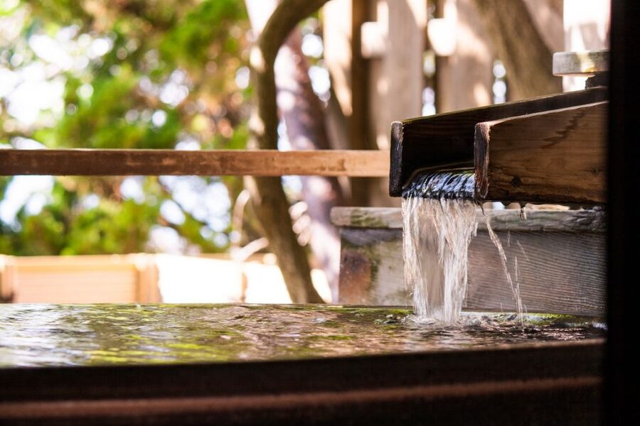 Kyoto: Immersive Arashiyama & Fushimi Inari by Private Car - Price, group size, and what you really pay for