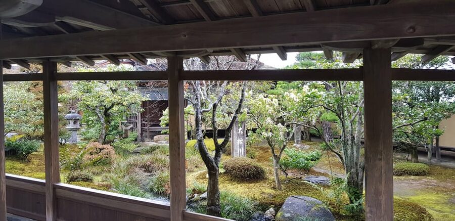 Kyoto: Immersive Arashiyama & Fushimi Inari by Private Car - Guides make the difference