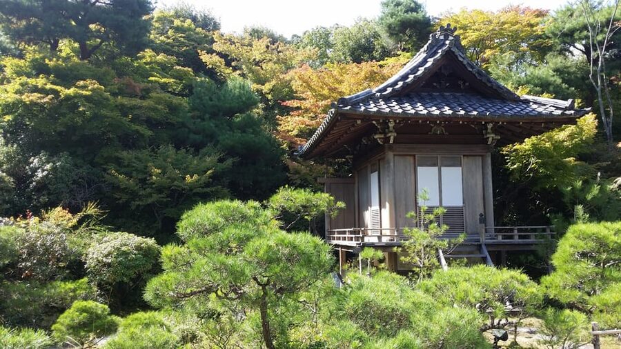 Kyoto: Immersive Arashiyama & Fushimi Inari by Private Car - Tenryu-ji introduces Kyoto’s garden style