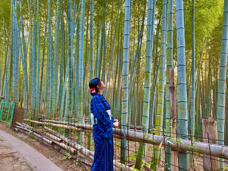 Kyoto Morning Highlights Tour: Fushimi, Kiyomizu-dera & Gion - Walking, transport, and the pace of the morning