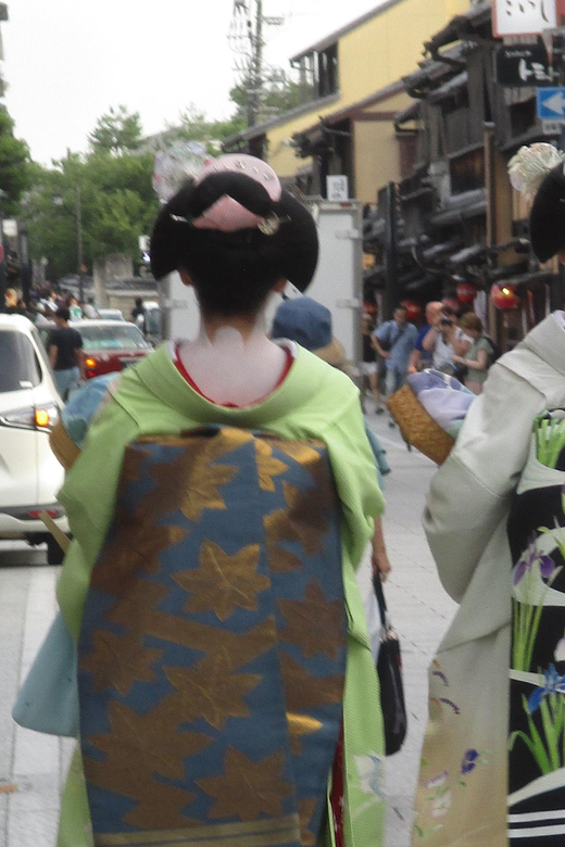KYOTO-NARA: Giant Buddha Deer Pagoda "Geisya" (Italian, full day) - Gion-kobu and the world of Maiko and Geiko