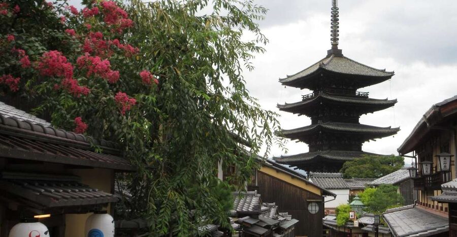 KYOTO-NARA: Giant Buddha Deer Pagoda "Geisya" (Italian, full day) - The Italian guide makes the difference