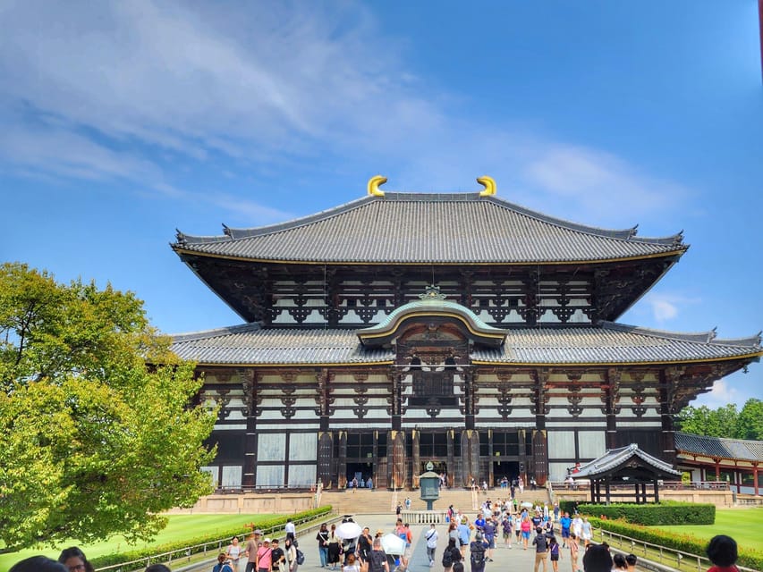 Kyoto: Nara, Todaiji, Kasuga Taisha Shrine Private Full Day - Key points at a glance