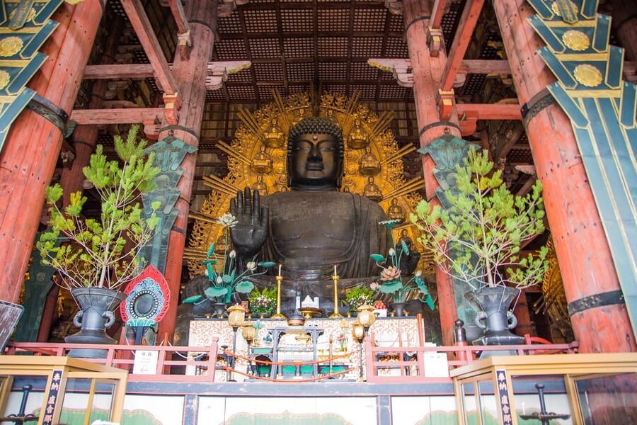 Kyoto: Nara, Todaiji, Kasuga Taisha Shrine Private Full Day - Walking, comfort, and who should book