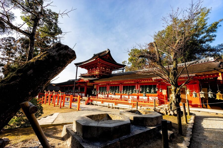 Kyoto: Nara, Todaiji, Kasuga Taisha Shrine Private Full Day - Kofukuji and the story of Nara’s imperial past
