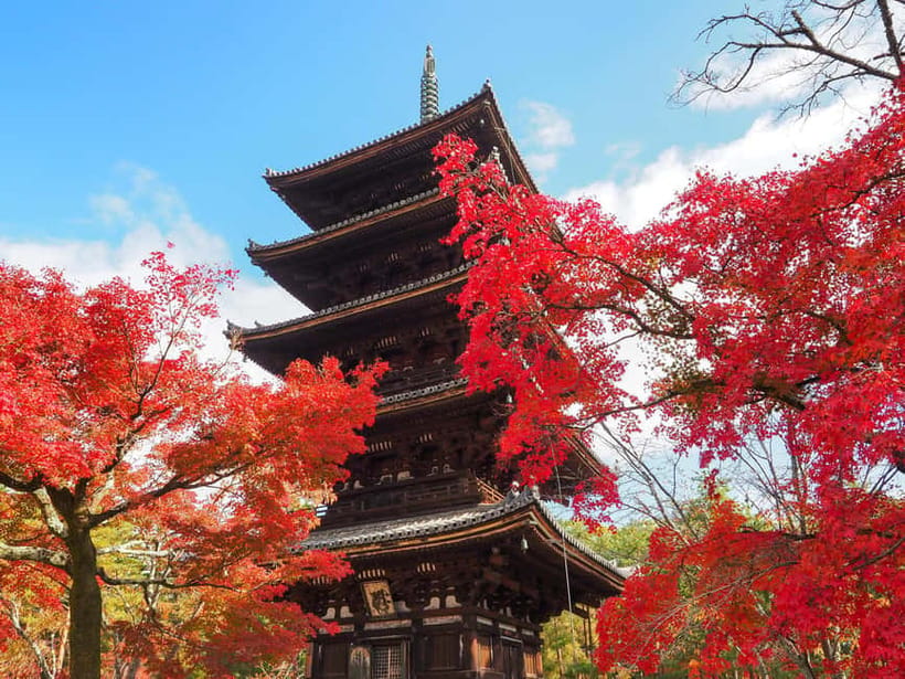 Kyoto: Ninnaji Temple Entry Ticket - Why Ninnaji feels different from a quick temple stop