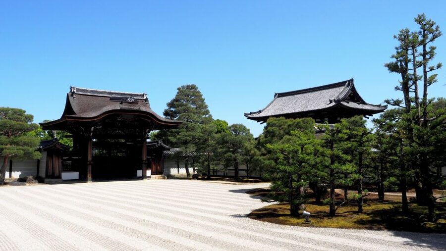 Kyoto: Ninnaji Temple Entry Ticket - Finding the five-story pagoda and Omuro Sakura