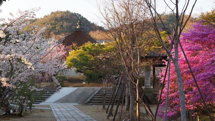 Kyoto: Ninnaji Temple Entry Ticket - Seasonal visits from spring through winter