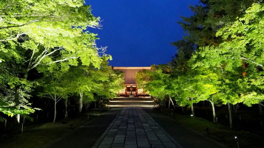 Kyoto: Ninnaji Temple Entry Ticket - Adding the Reihokan Museum and special admissions