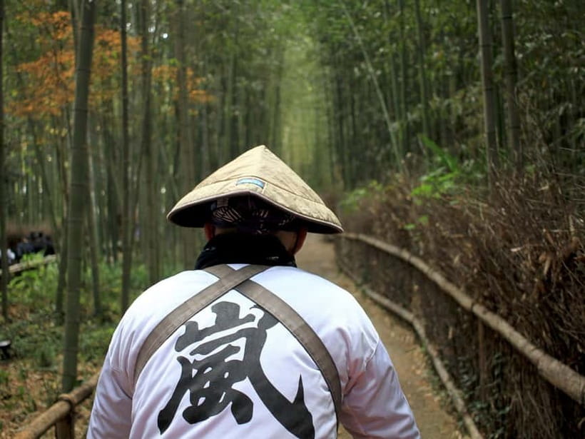 Kyoto/Osaka: Kinkakuji, Bamboo Forest, and Nara Deer Park - The schedule: efficient, but not leisurely