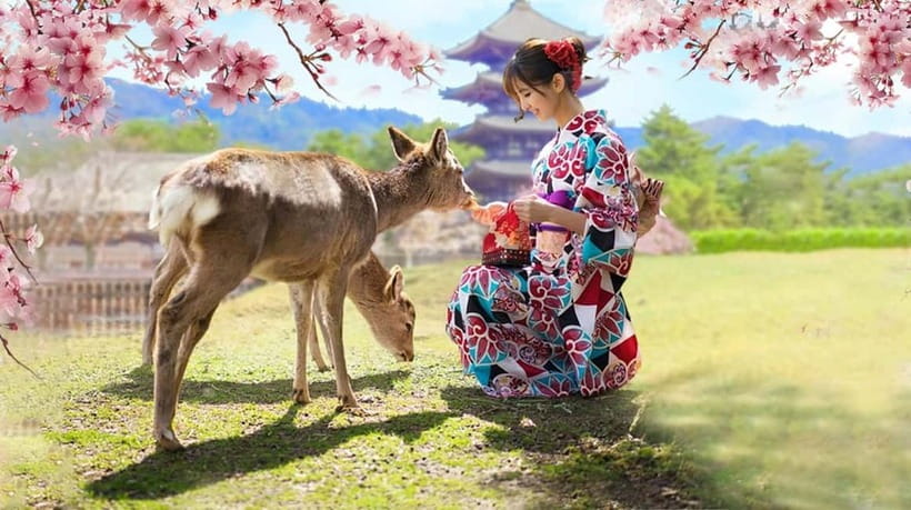 Kyoto/Osaka: Nara, Fushimi Inari Taisha, Arashiyama Bus Tour - Nara Park and the deer hour