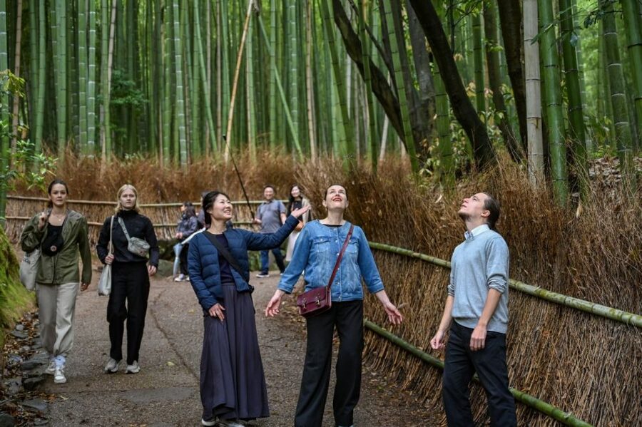 Kyoto to Arashiyama Day Trip - Private & Personalized - Why a private Arashiyama day can be worth it
