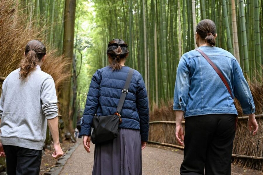 Kyoto to Arashiyama Day Trip - Private & Personalized - Walking through the Bamboo Grove