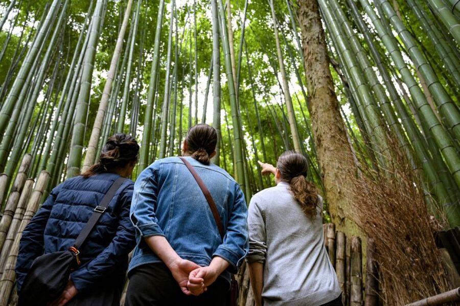 Kyoto to Arashiyama Day Trip - Private & Personalized - Okochi Sanso Villa and its quiet garden views