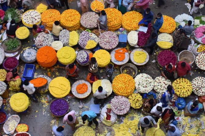 Lalbagh+Bull Temple+Tipu Palace+Market+Lunch=Bangalore City Tour - Two hours among the paths of Lalbagh