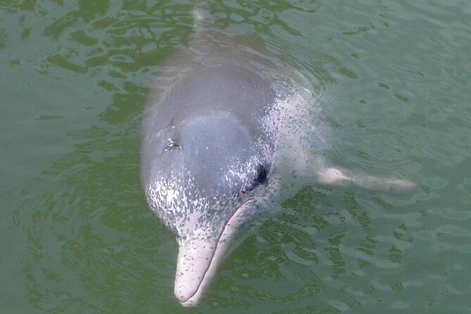 Lantau Island Tour: Big Buddha & Tai O Fishing Village - Guides can shape the whole day