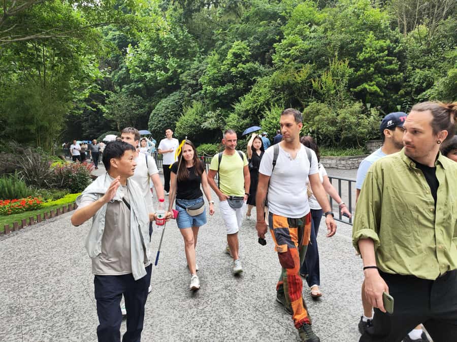 Leshan Grand Buddha Scenic Area and Panda Park Day Tour - Chengdu Research Base: the best part for many visitors