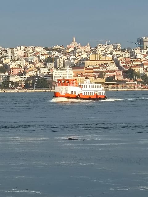 Lisbon: Belem, Jeronimos Monastery, and Coach Museum Tour - The Monument to the Discoveries and the end of the route