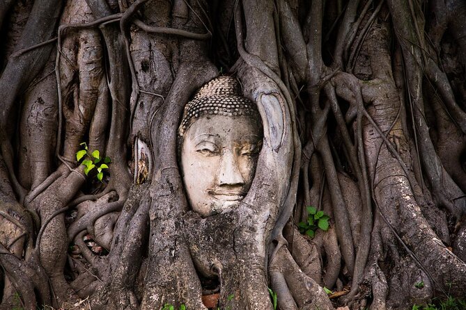 Lopburi Monkey Temple & Ayutthaya Old City Tour From Bangkok - Key points to know before booking