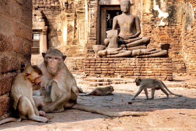 Lopburi Monkey Temple & Ayutthaya Old City Tour From Bangkok - Two ancient cities in one demanding day