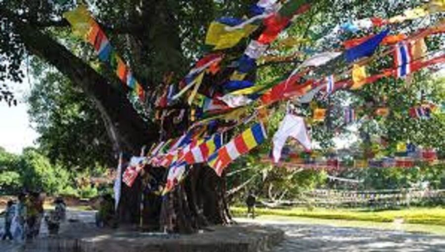 Lumbini Full day tour with Guide - Walking through the Sacred Garden