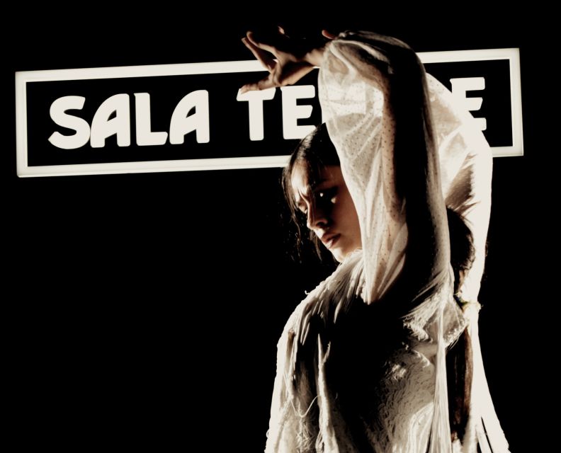 Madrid: Flamenco Show at Tablao Sala Temple with Drink - How the value compares with a pricier flamenco evening