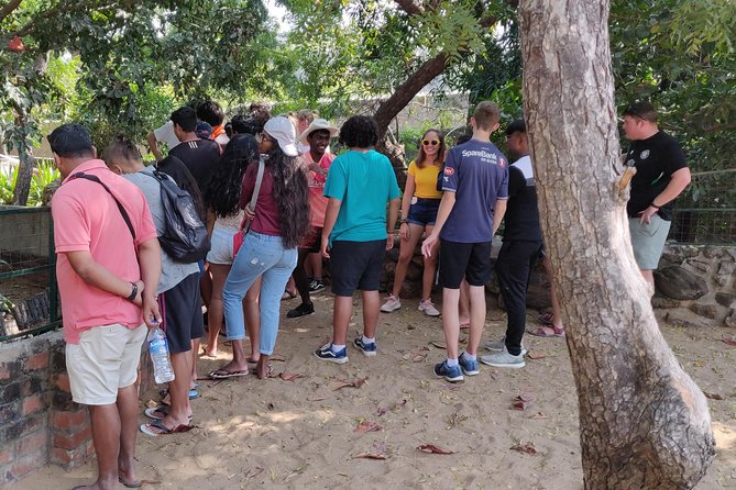 Mahabalipuram walking tour by certified travel company - Mahishasuramardini Cave and Ganesh Ratha Temple