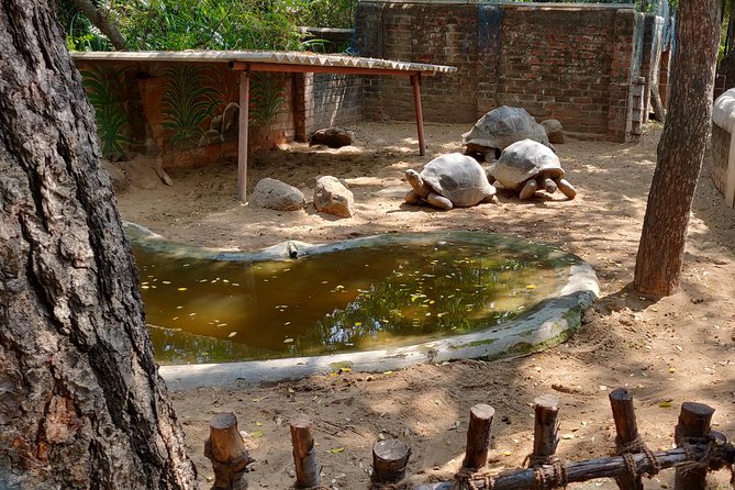Mahabalipuram walking tour by certified travel company - Mahabalipuram Lighthouse and the walk between sites