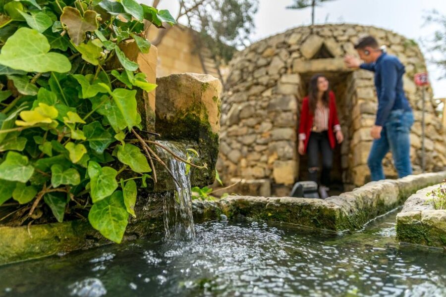 Malta: Prehistoric Temples, Limestone Heritage & Blue Grotto - Why this compact Malta tour works