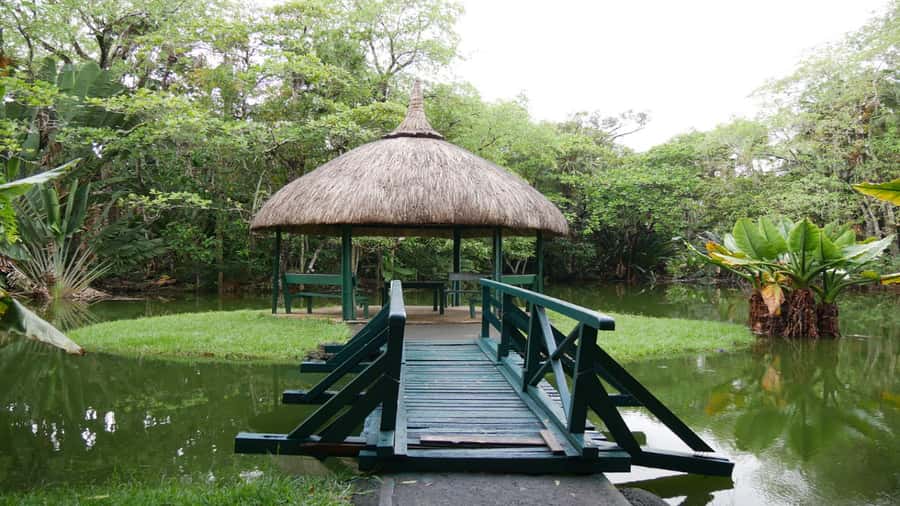 Mauritius: Northern Tour w/Port Louis Market, Temple & Beach - The Guides Can Make or Break the Day