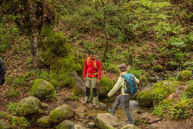 Meteora Small Group Hiking tour with Transfer and Monastery Visit - Varlaam and Saint Nicholas from the route
