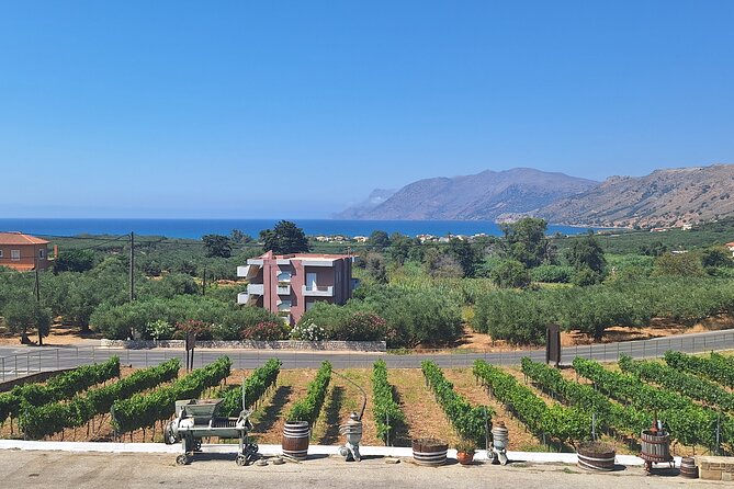 Monastery, Elafonissi and Winery Tour from Chania - What the day feels like in practice