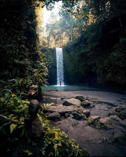 Monkey Forest, Kanto Lampo, Waterfall, Temple & Rice Terrace - Tegalalang Rice Terrace, Bali’s classic countryside view
