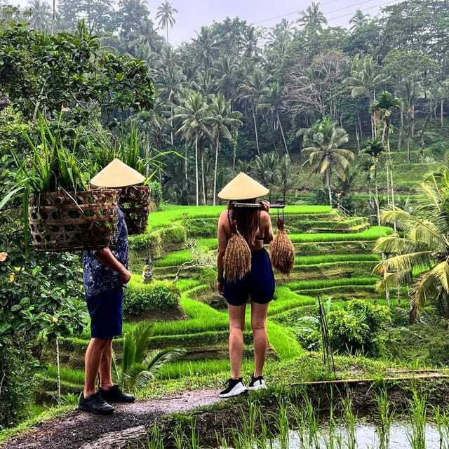 Monkey Forest, Kanto Lampo, Waterfall, Temple & Rice Terrace - Tirta Empul and the meaning of holy spring water