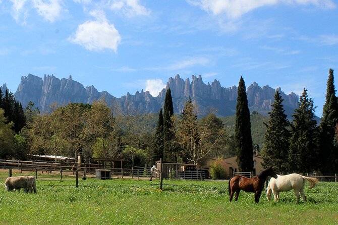 Montserrat Horseback Riding & Monastery – Small Group (Max 8) - Heat, horse welfare, and what to pack