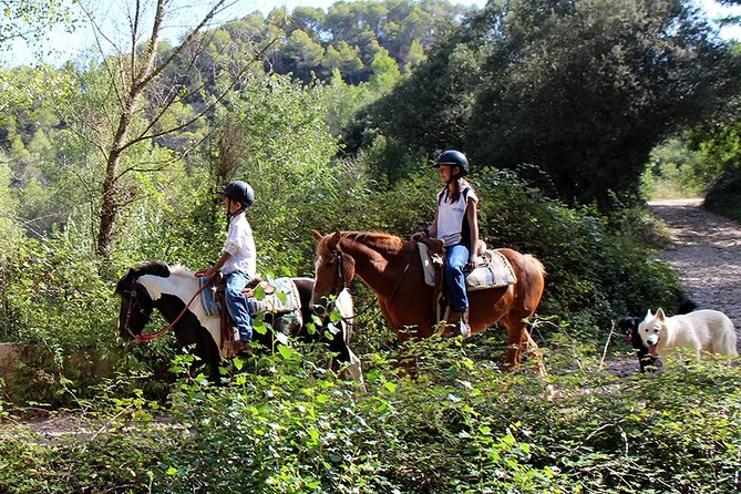 Montserrat Horseback Riding & Monastery – Small Group (Max 8) - A small group makes the timing easier