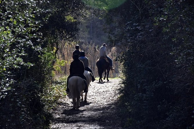 Montserrat Horseback Riding & Monastery – Small Group (Max 8) - Who will get the most from this day?