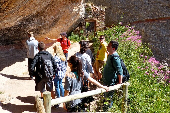 Montserrat Monastery and Mountain Half Day Hiking from Barcelona - Choosing the Longer or Shorter Hike