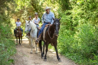Montserrat Monastery & Horse Riding Experience from Barcelona